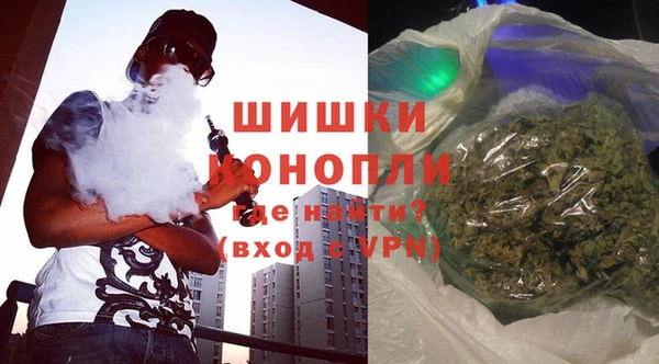 дживик Шали