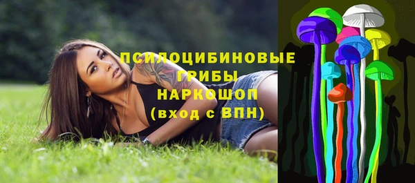 PSILOCYBIN Валдай