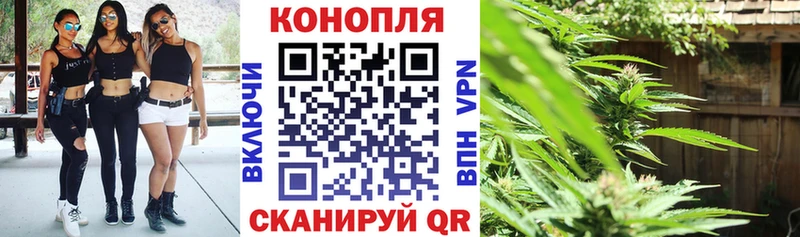 мега маркетплейс  купить наркотики сайты  Костерёво  Бошки марихуана SATIVA & INDICA 